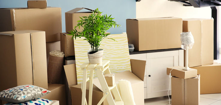 Best Residential Moving